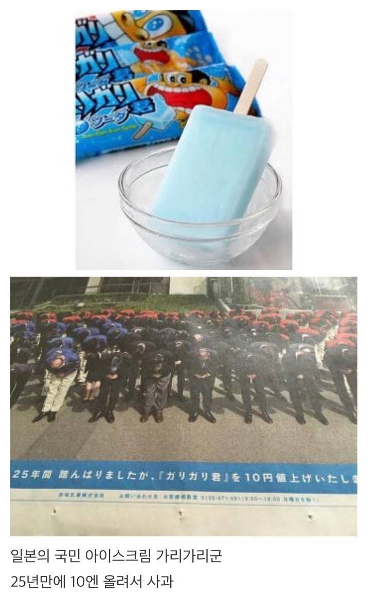 어느 일본 아이스크림 회사의 대국민 사과.jpg | 인스티즈