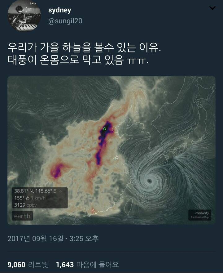 하늘이 돕는 한국 | 인스티즈