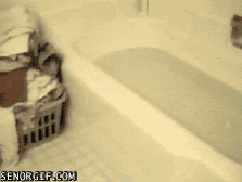 찍먹파 | 인스티즈