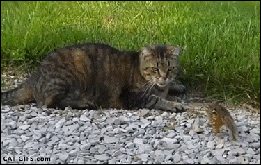 이게 그 몬스터헌터인가 하는 그 게임? | 인스티즈