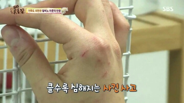 힘들어하는 여성 동물 사육사..jpg | 인스티즈