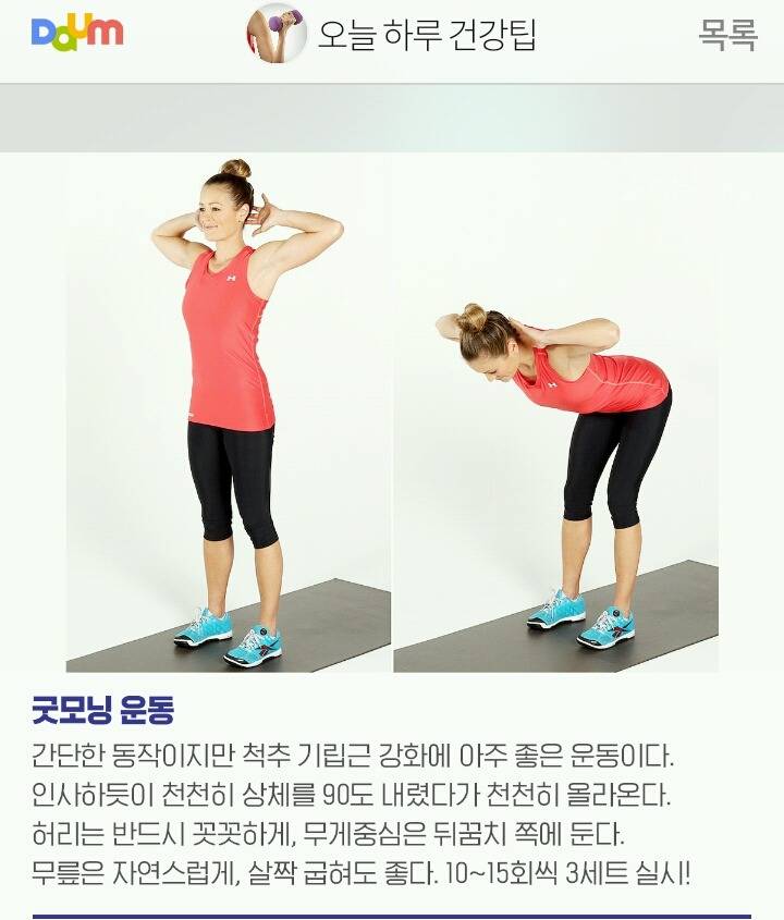 허리와 척추에 좋은 운동 | 인스티즈