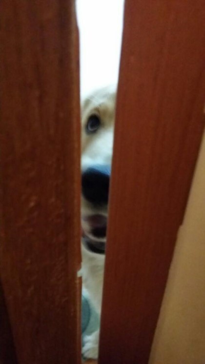 화장실에 간 친구에게 카톡이 왔다.JPG | 인스티즈