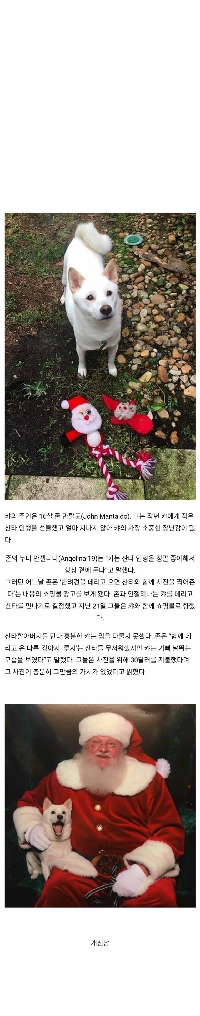 좋아하는 인형을 실제로 만난 강아지 | 인스티즈