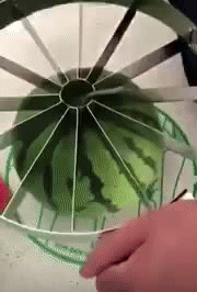 수박 한번에 자르기 | 인스티즈