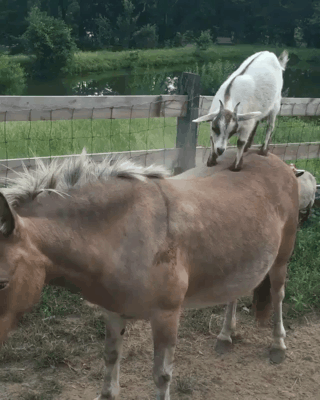 ??? : 어떻게 올라간거지 | 인스티즈