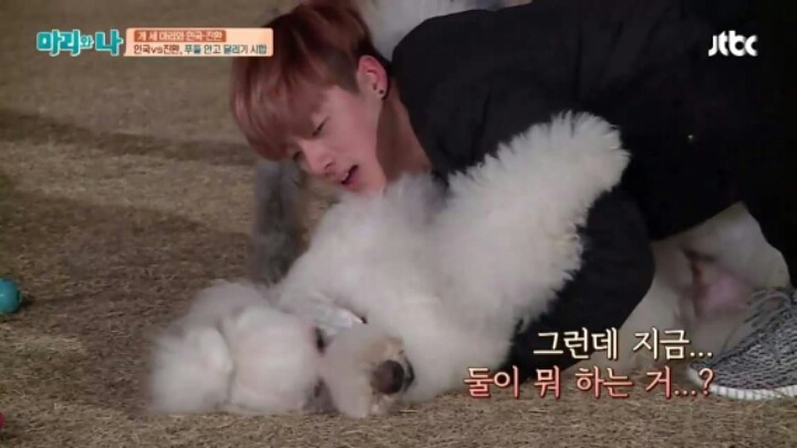 [마리와나] 푸들 안고 달리기 시합하기 | 인스티즈