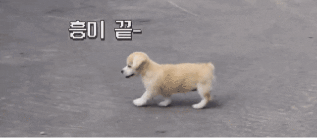 마성의 친화력 짱절미.gif | 인스티즈