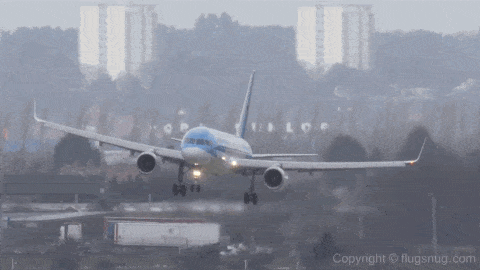 베트남으로 여행간 한국인들 상황 | 인스티즈