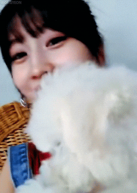 트와이스 복수하 모모 | 인스티즈