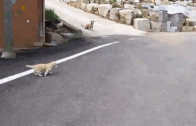 마성의 친화력 짱절미.gif | 인스티즈