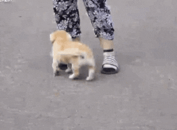 마성의 친화력 짱절미.gif | 인스티즈