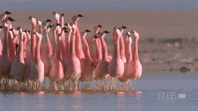 박유천 사건관련 네티즌들 상황.gif | 인스티즈