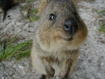 얼굴이 웃는상.jpg | 인스티즈