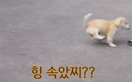 마성의 친화력 짱절미.gif | 인스티즈