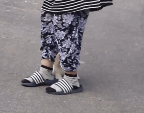 마성의 친화력 짱절미.gif | 인스티즈