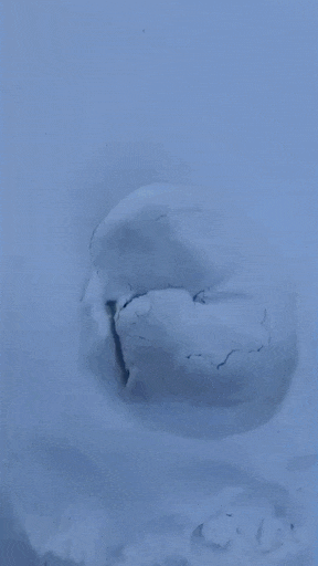 누가 자는데 에어컨 틀었니? | 인스티즈