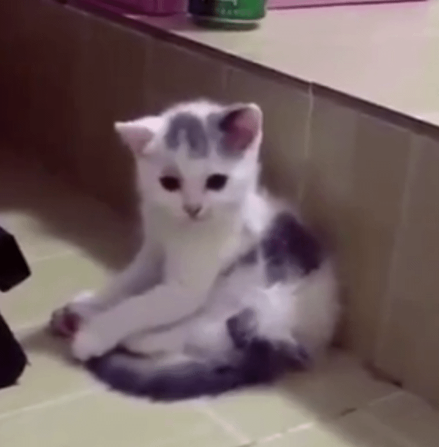 발이 왜 거기서 나와..? | 인스티즈