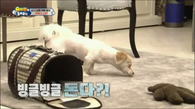 이범수가 동물을 대하는 방식.jpg | 인스티즈