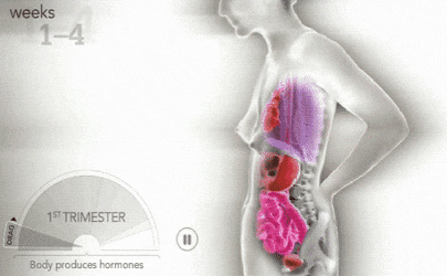 임신한 여성 몸의 변화 | 인스티즈