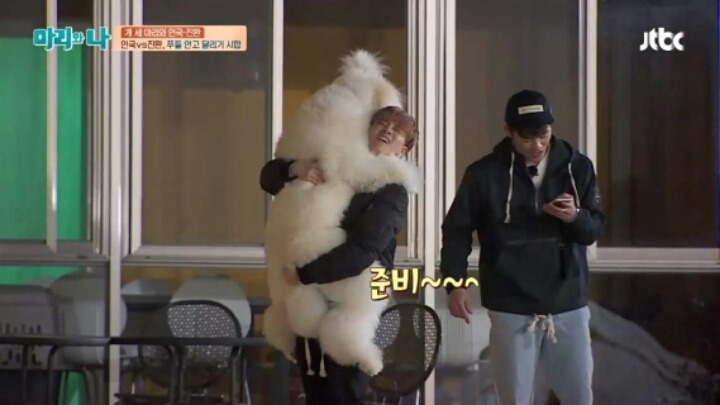 [마리와나] 푸들 안고 달리기 시합하기 | 인스티즈