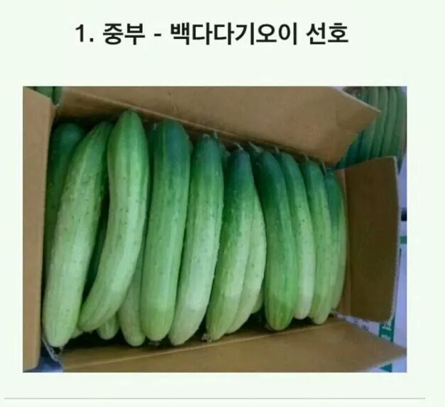 [잡담] 임성근쉐프 오이라면 레시피 보는데 | 인스티즈