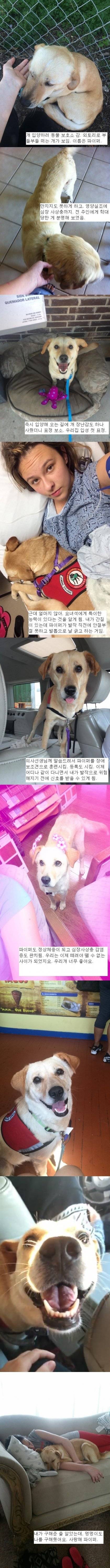 사랑을 받기전과 받은후의 차이.jpg | 인스티즈