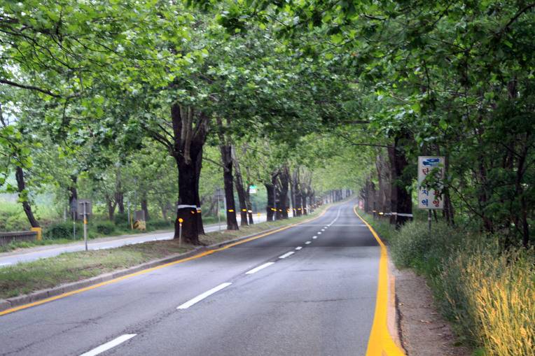 대한민국 최고의 드라이브코스들 총망라 | 인스티즈