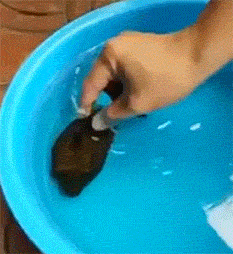 복터지겟당 | 인스티즈