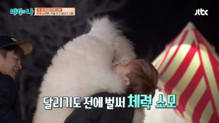 [마리와나] 푸들 안고 달리기 시합하기 | 인스티즈