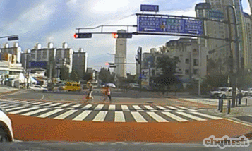 운전자들 심쿵하게 만드는 자라니들.gif | 인스티즈