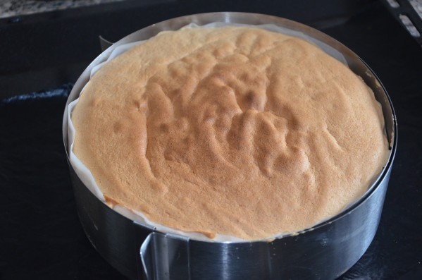 쵸크쵸크 달콤한 스펀지 케이크 | 인스티즈