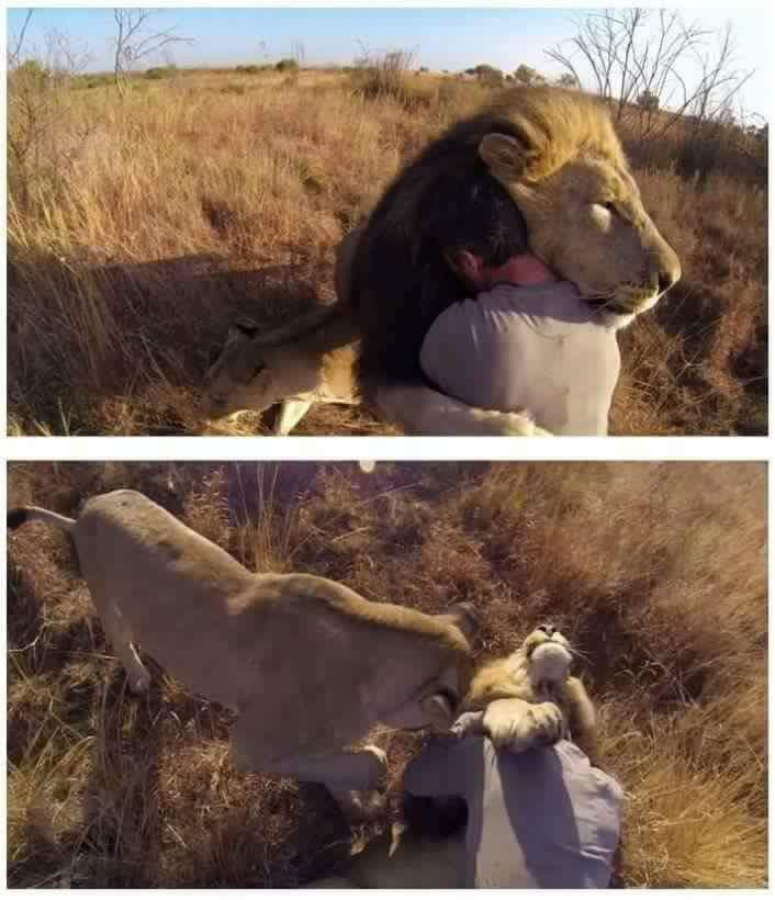 맨몸으로 맹수구역에 들어간 남자 | 인스티즈