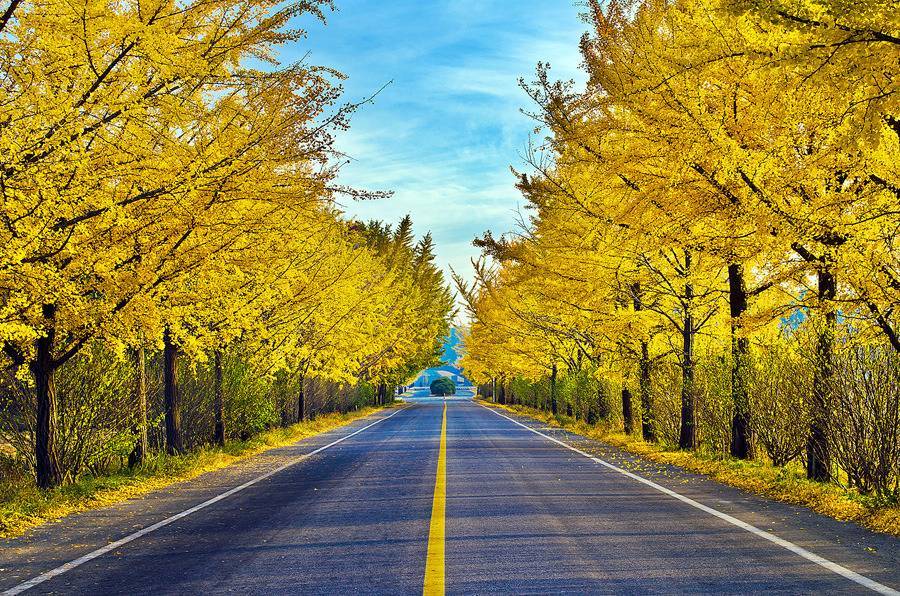 대한민국 최고의 드라이브코스들 총망라 | 인스티즈