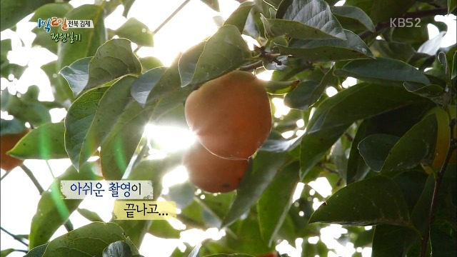 많은 사람들이 의외라고 칭찬했던 정준영과 시골할머니의 따뜻한 에피소드.jpg | 인스티즈