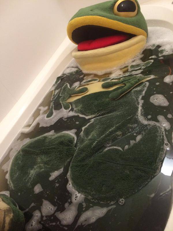 인터넷에서 제일 유명한 개구리 | 인스티즈