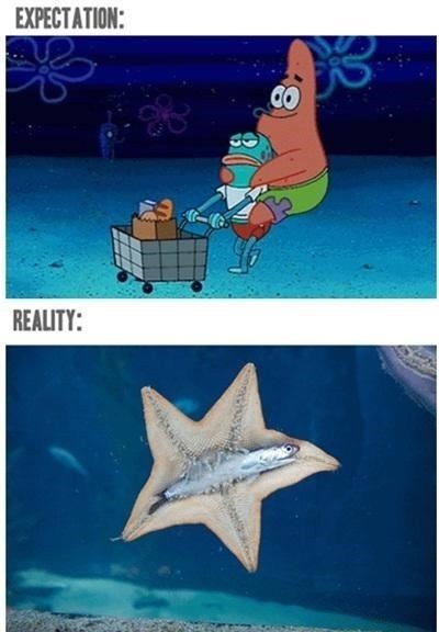 만화와 현실의 차이 | 인스티즈