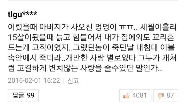 반려견들과 이별을 겪어본 사람들의 이야기 | 인스티즈