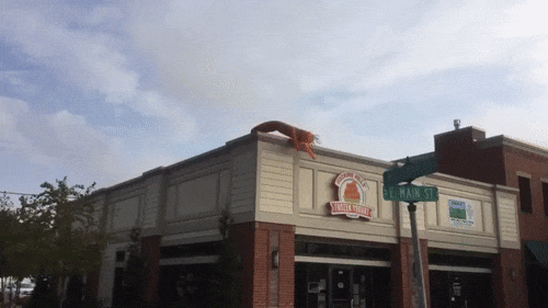 움직임이 이상한 인형.gif | 인스티즈