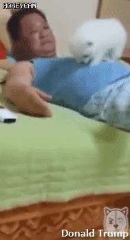 ??? : 하여간 괭이든 든 집에 들이기만해봐.gif | 인스티즈