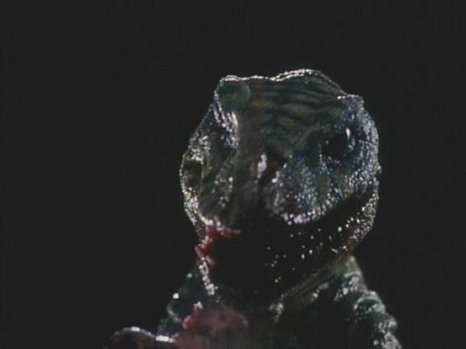 공포 영화 속 크리쳐들(혐오주의) | 인스티즈