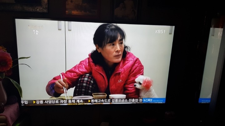 강릉에 재난수준 산불났는데... | 인스티즈