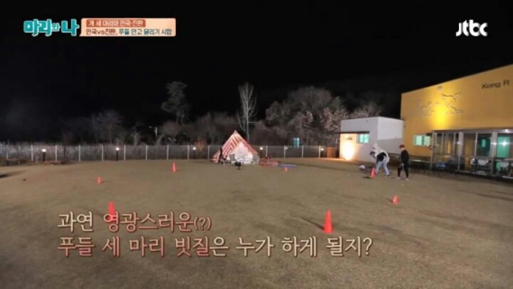 [마리와나] 푸들 안고 달리기 시합하기 | 인스티즈