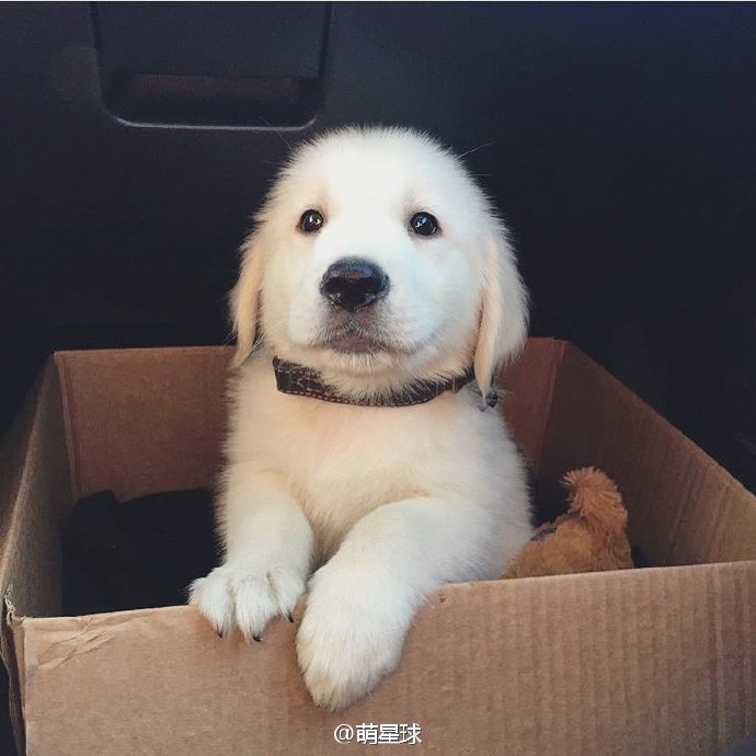 우리도 상자 좋아해요 | 인스티즈