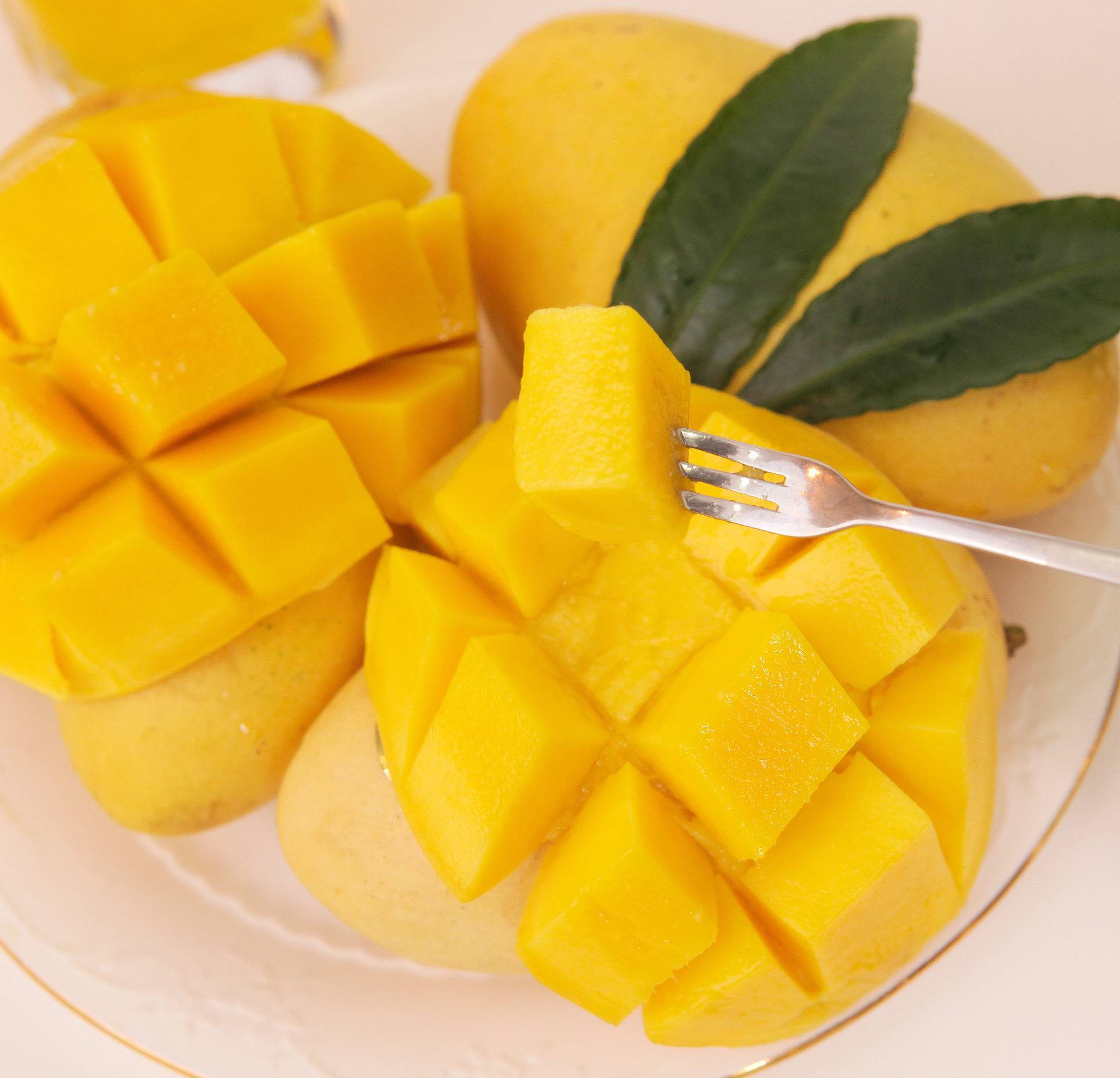 야심한밤 배도고픈데 과일이나 먹어보자.jpg | 인스티즈