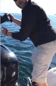 살려주세요 ㅠㅠ.gif | 인스티즈