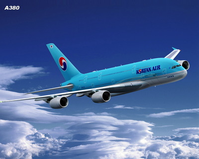 평생 한 가지 이동수단은 사고 안 나게 해준다면 | 인스티즈