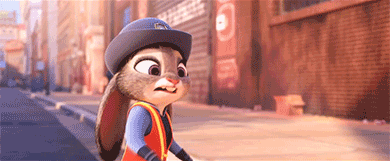 주토피아 보고나면 짱덕된다는 동물.gif | 인스티즈