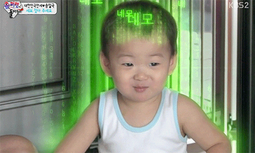 걸어다니는 애교주머니 민국이 모음 (데이터주의!) | 인스티즈