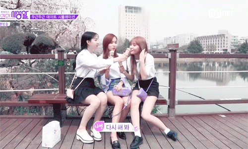 트와이스의 치열한 서열경쟁.gif | 인스티즈